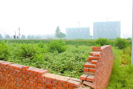 数十男子冲进河南濮阳国土局殴打土地竞拍者