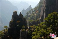 秋叶观赏最佳 黄山游客画中行(组图)