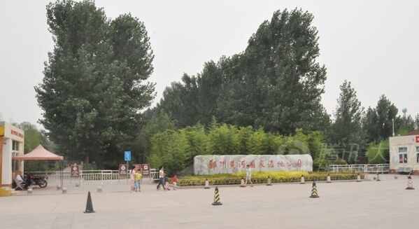 郑州黄河湿地公园大家可以逛逛